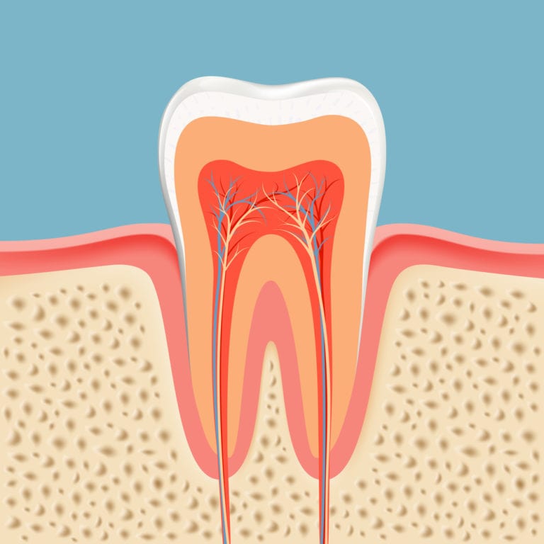 Best General Dentist Office in Cupertino